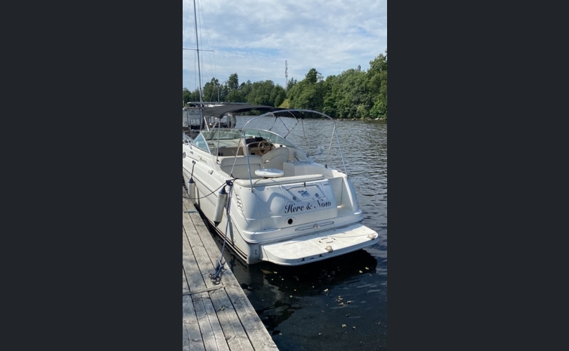 Sea Ray Sundancer 260-kuva-3